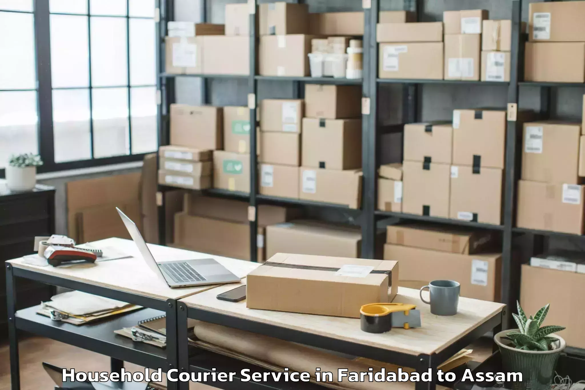 Trusted Faridabad to Moranhat Town Household Courier